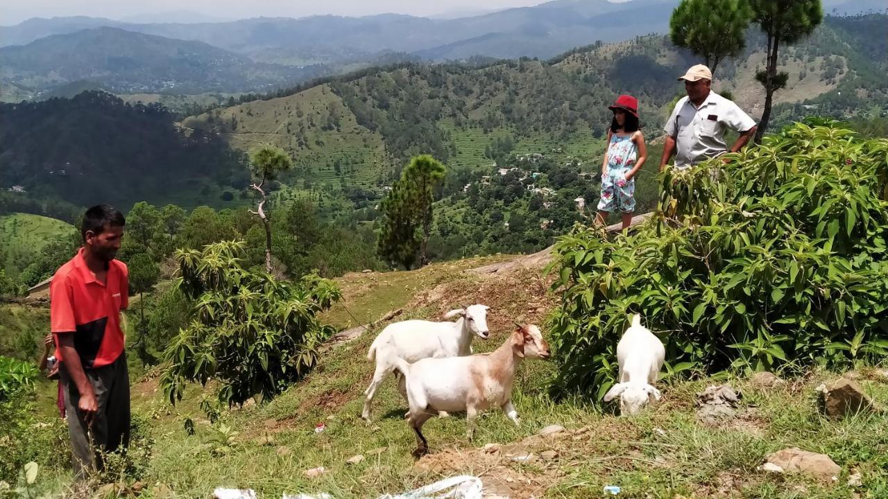 Dwarahat Village Farmstay- Babaji'S Cave 外观 照片