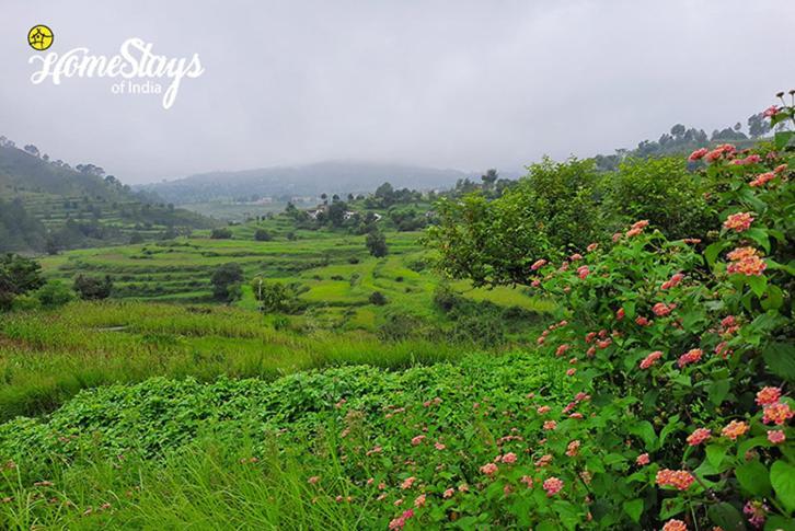 Dwarahat Village Farmstay- Babaji'S Cave 外观 照片