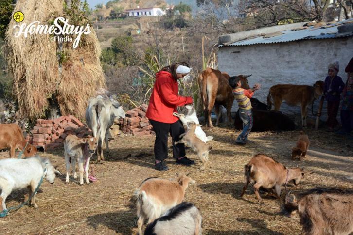 Dwarahat Village Farmstay- Babaji'S Cave 外观 照片