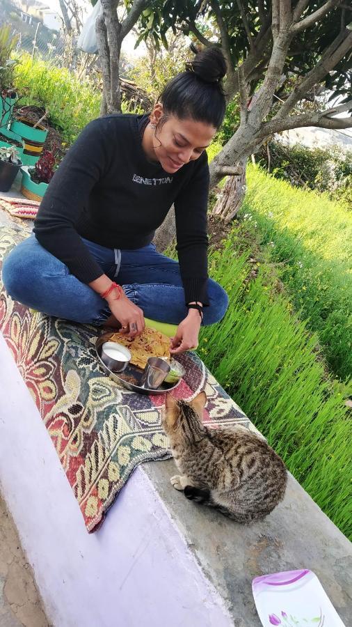 Dwarahat Village Farmstay- Babaji'S Cave 外观 照片